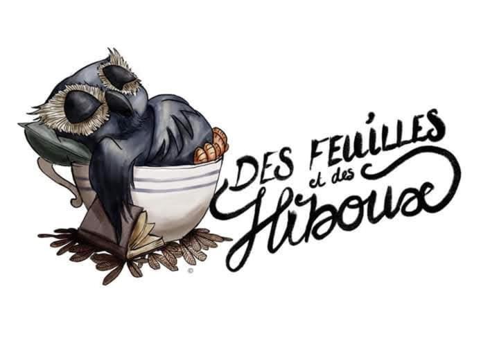 Des Feuilles Et Des Hiboux Affittacamere *