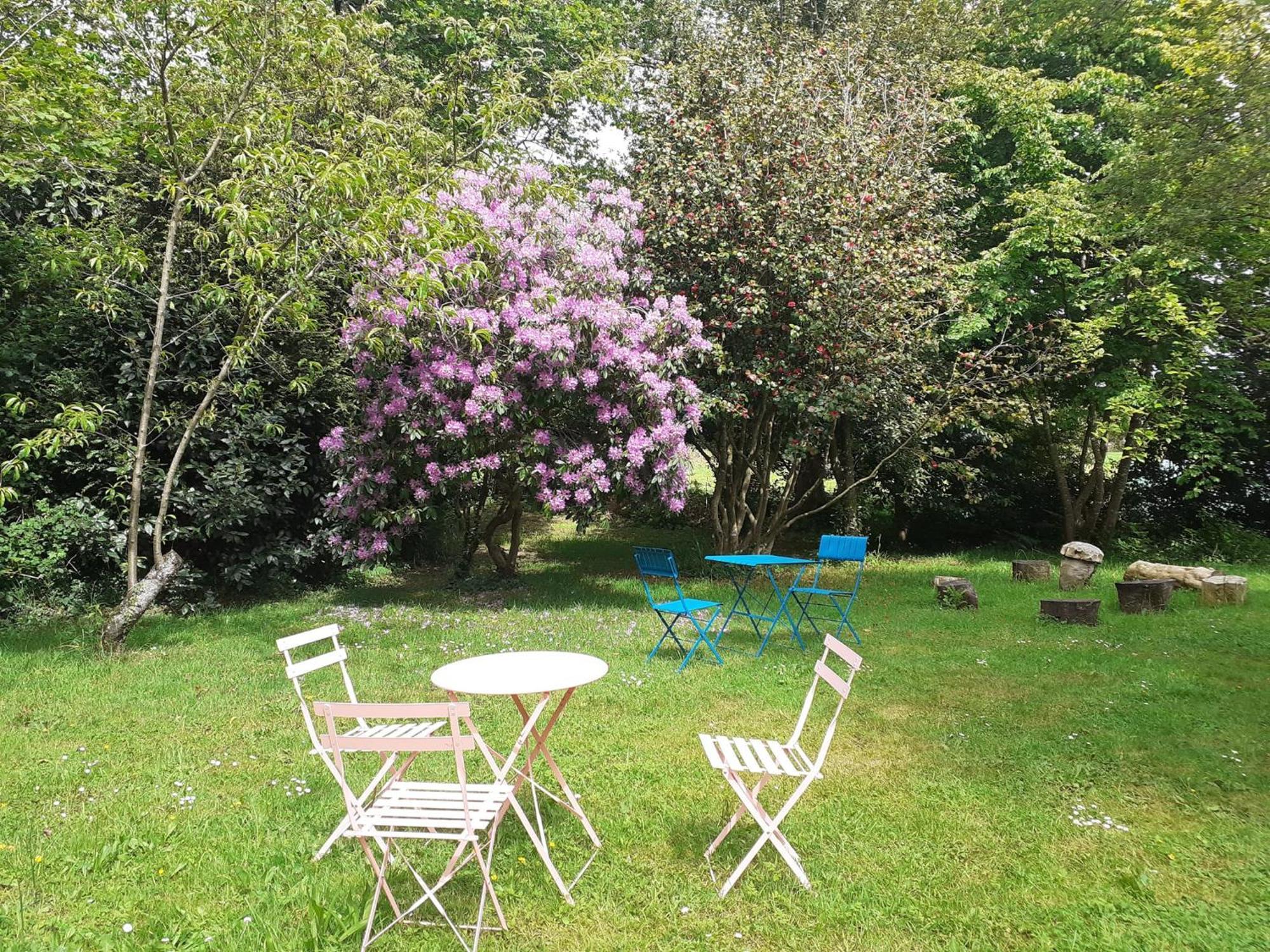 Des Feuilles Et Des Hiboux Guest house *