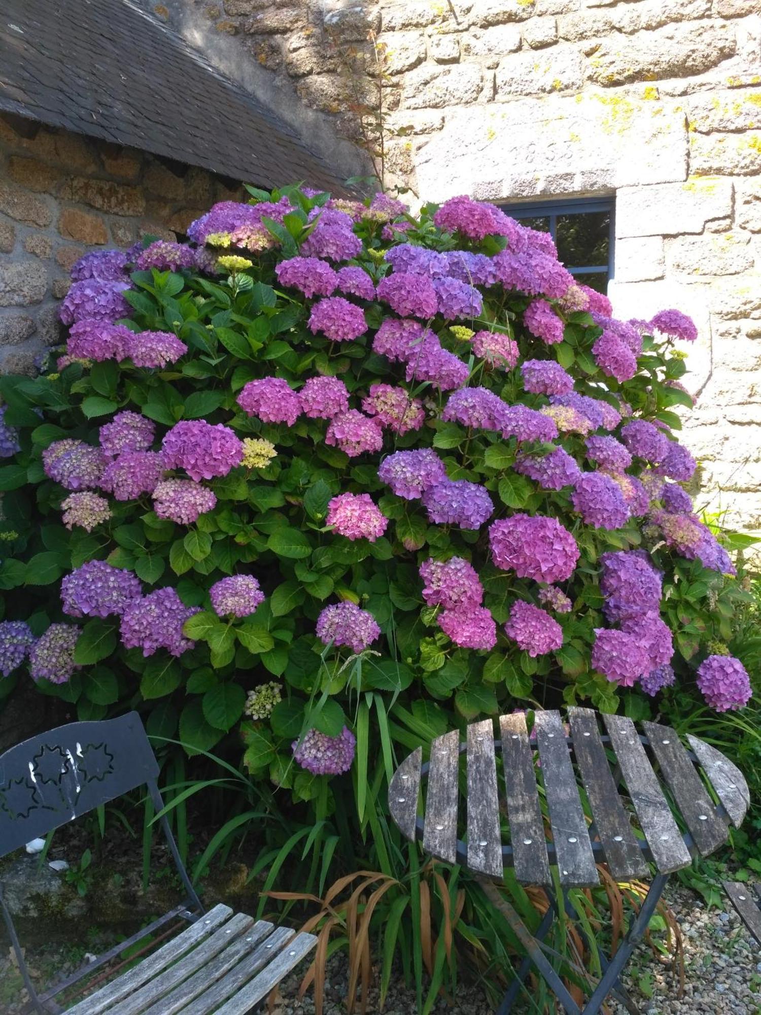 Des Feuilles Et Des Hiboux Guest house